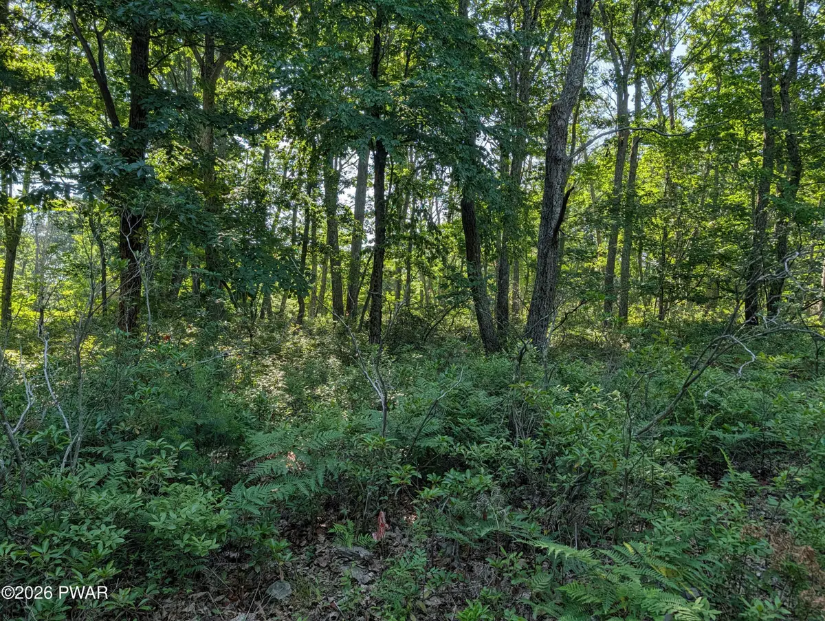 Lot2 Blk4 Sagamore, Shohola, PA 18458 - #1