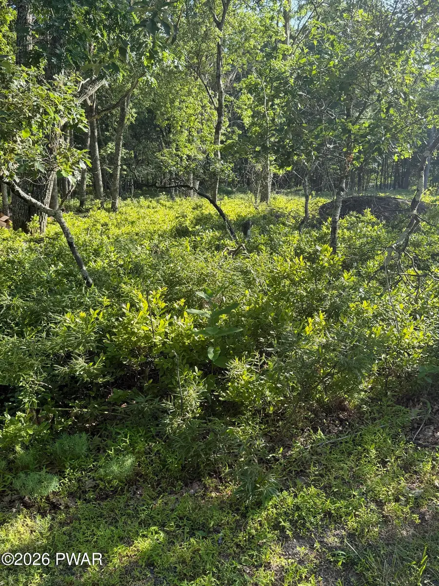 Lot 74 Bear Drive, Bushkill, PA 18324 - #3