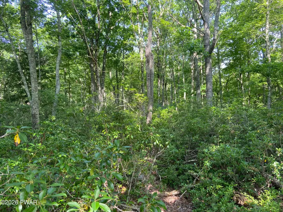 Lot 34 Michelle Court, Dingmans Ferry, PA 18328 - #3