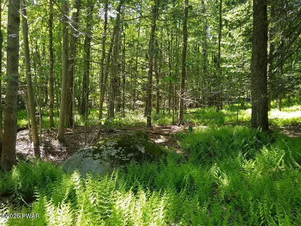 Pine Creek Road, Hawley, PA 18428