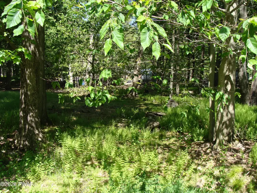 Navaho Path, Gouldsboro, PA 18424 - #2