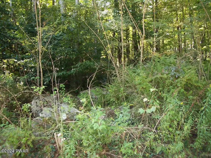 Lot 3 Gilpin Road, Newfoundland, PA 18445 - #2