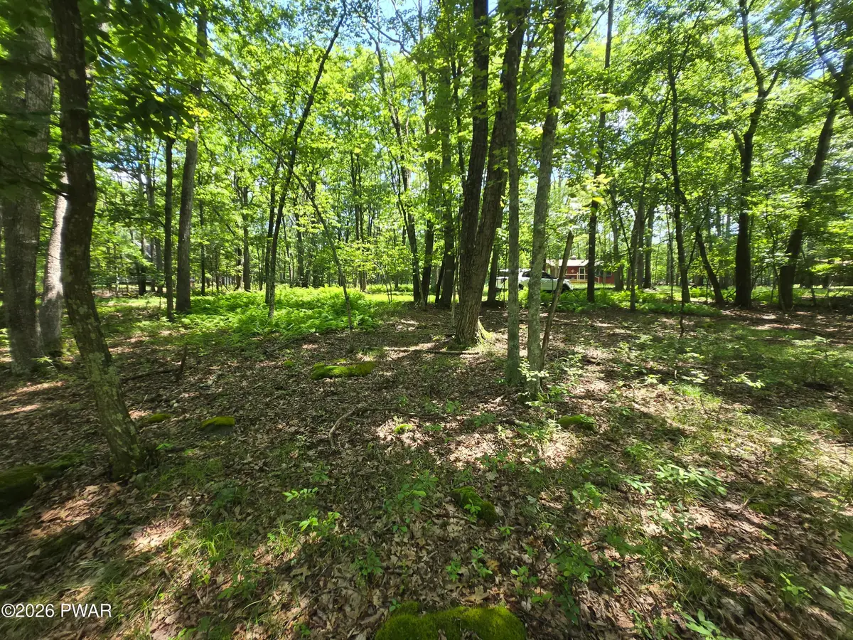Lot 17 Woodledge Hills Drive, Hawley, PA 18428 - #1