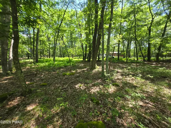 Lot 17 Woodledge Hills Drive, Hawley, PA 18428
