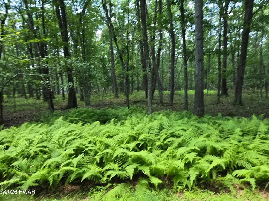 Lot 17 Woodledge Hills Drive, Hawley, PA 18428 - #2