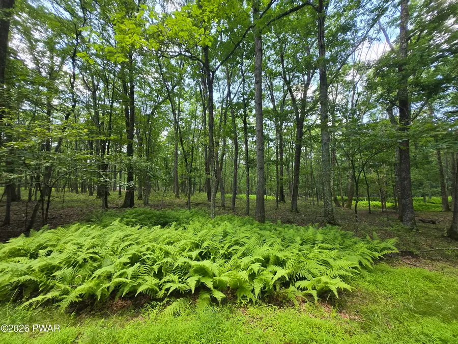 Lot 17 Woodledge Hills Drive, Hawley, PA 18428 - #3