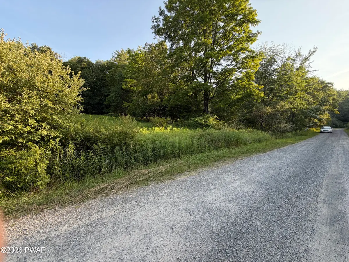 Lot 30 Timber Ridge Drive, Newfoundland, PA 18445 - #1