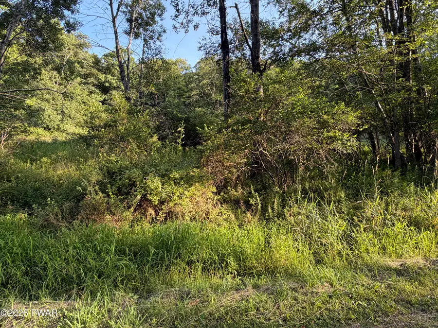 Lot 30 Timber Ridge Drive, Newfoundland, PA 18445 - #3