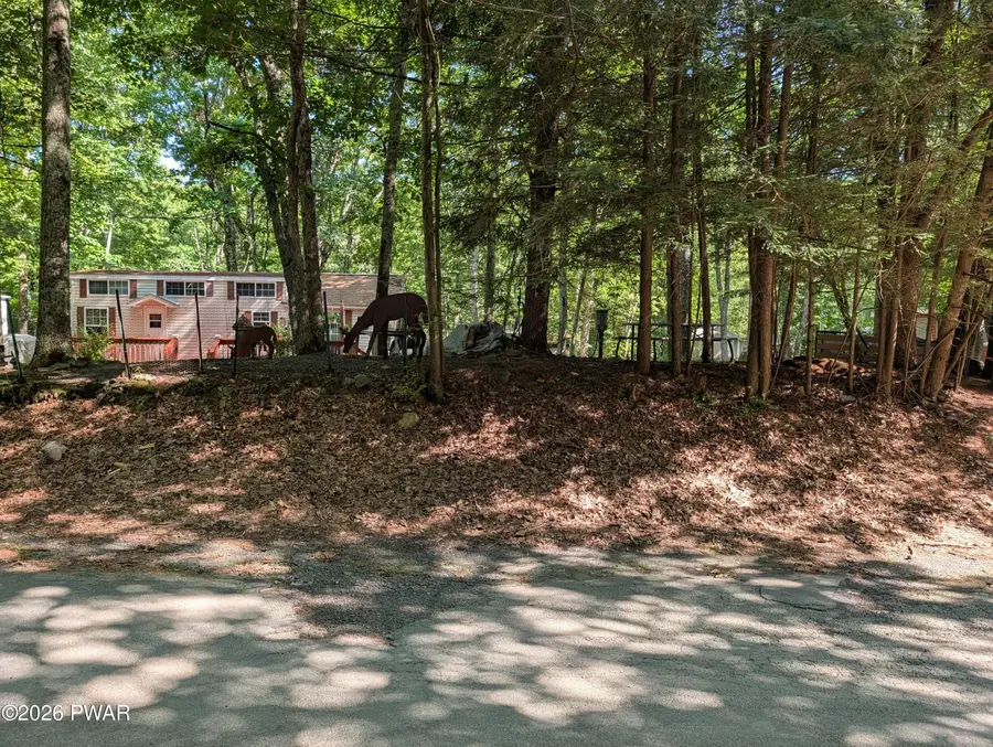 213 Shohola Lane, Shohola, PA 18458 - #3