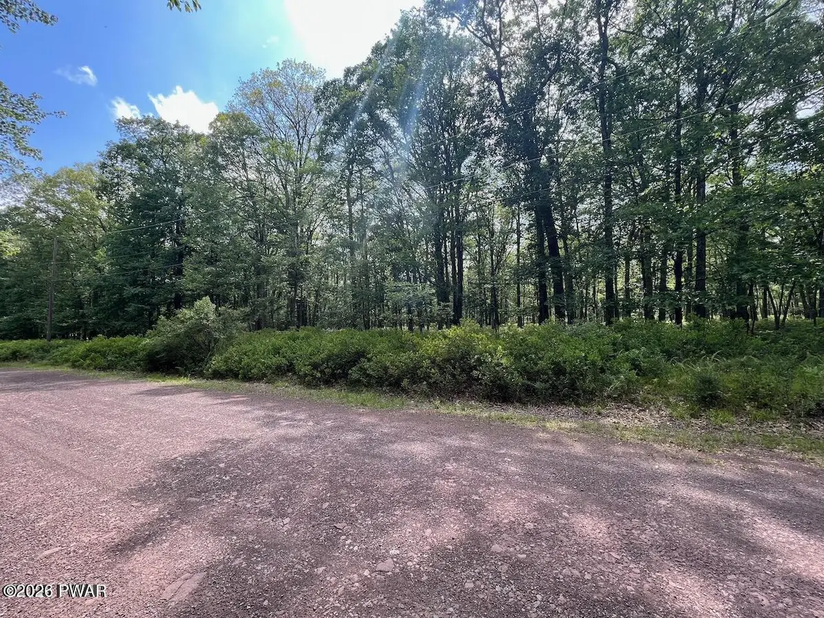 141 & 142 Mountain Top Road, Lackawaxen, PA 18435 - #1
