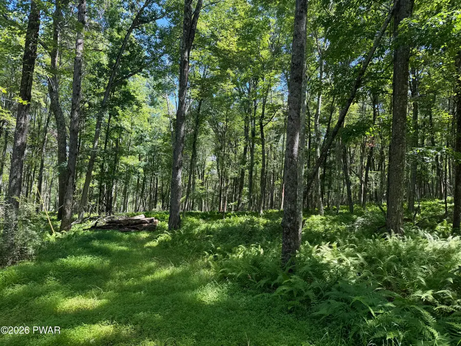 LOT 14 Woodlyn Acres Road, Hawley, PA 18428 - #2