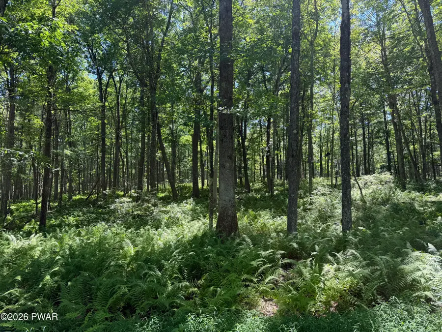 LOT 14 Woodlyn Acres Road, Hawley, PA 18428 - #3