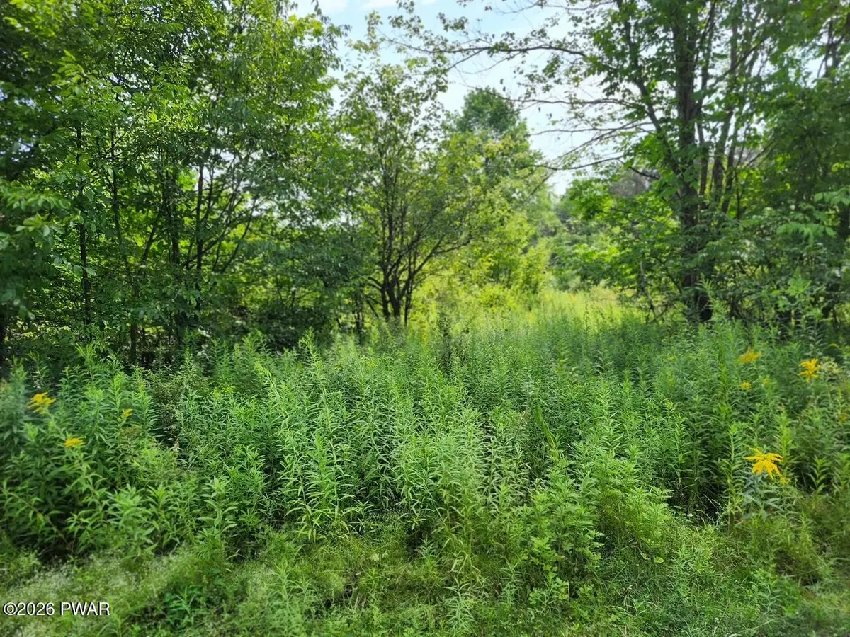 Rotten Road, Equinunk, PA 18417 - #1