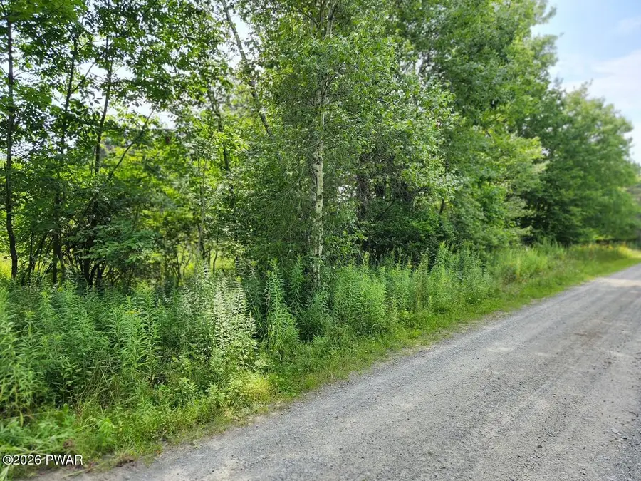 Rotten Road, Equinunk, PA 18417 - #2