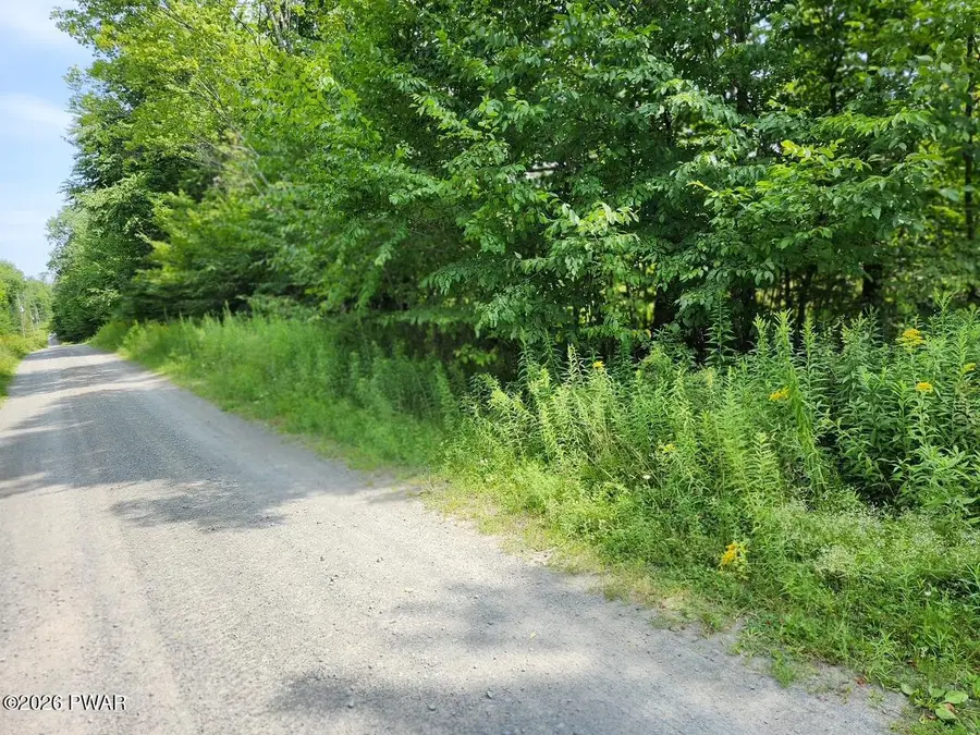 Rotten Road, Equinunk, PA 18417 - #3