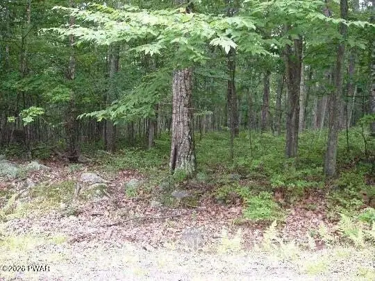 Woodledge East Lake, Hawley, PA 18428 - #1