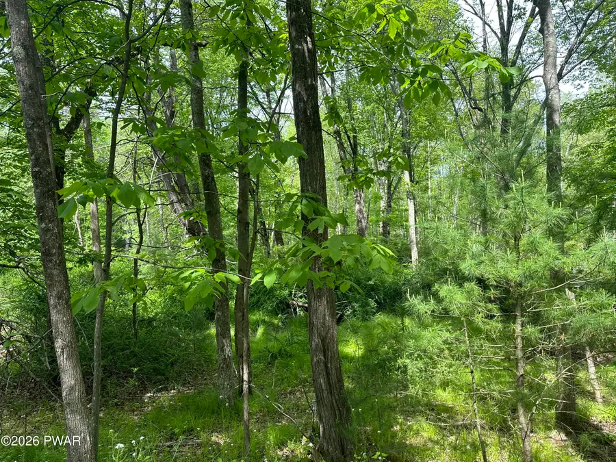 141 Waterview Drive, Lackawaxen, PA 18435 - #3