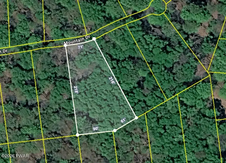 27 Mountain Drive, Newfoundland, PA 18445 - #1