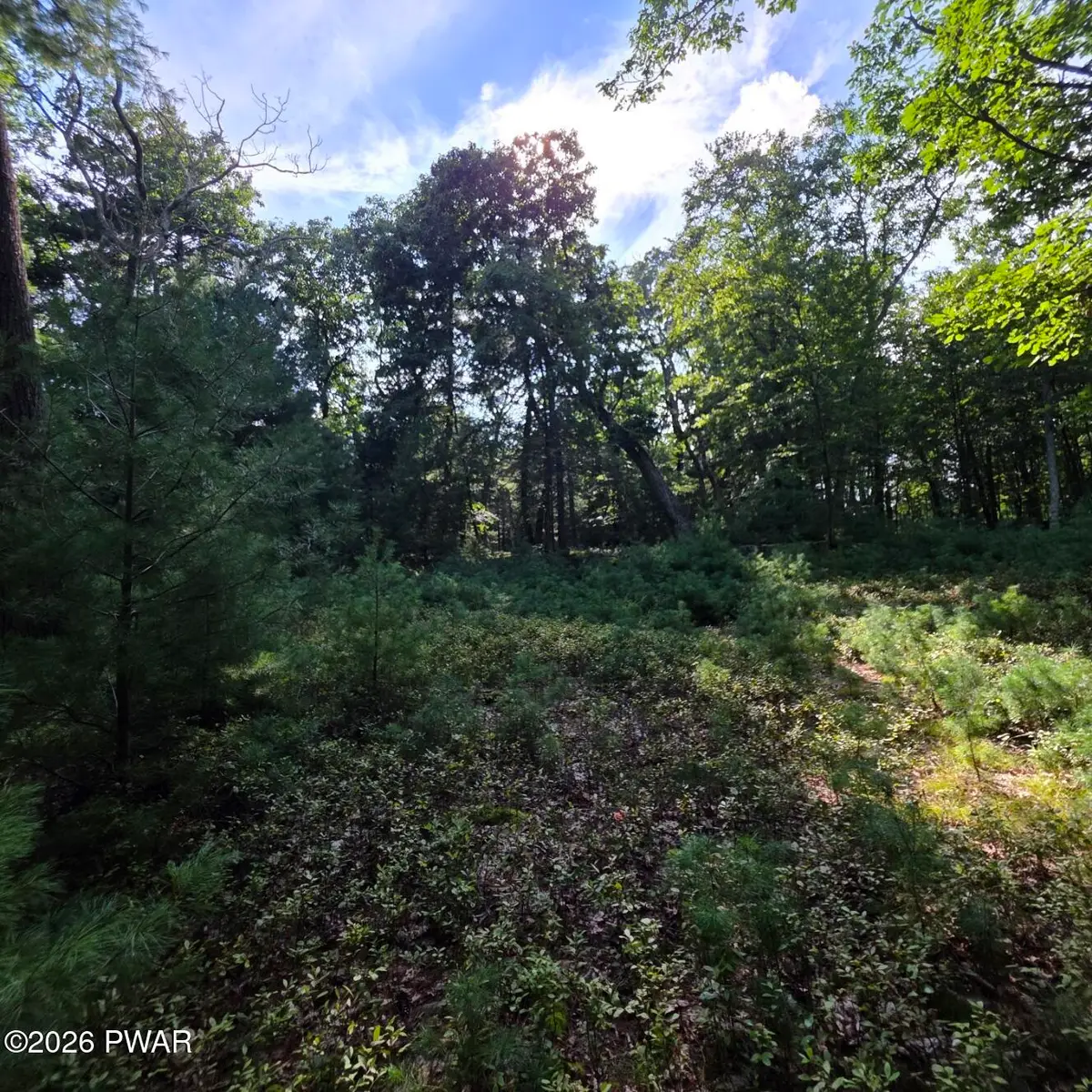 179 Mountain Top Drive, Dingmans Ferry, PA 18328 - #1