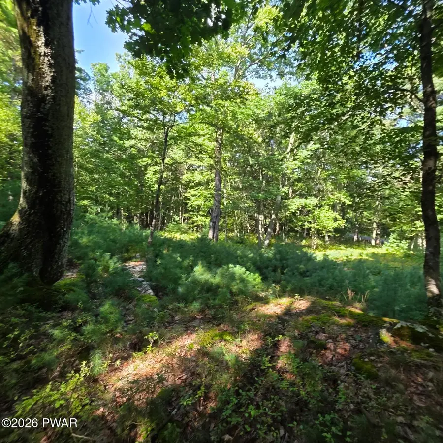 179 Mountain Top Drive, Dingmans Ferry, PA 18328 - #2