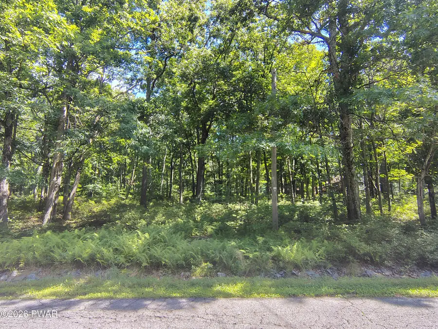 101 Gaskin Drive, Lords Valley, PA 18428 - #3