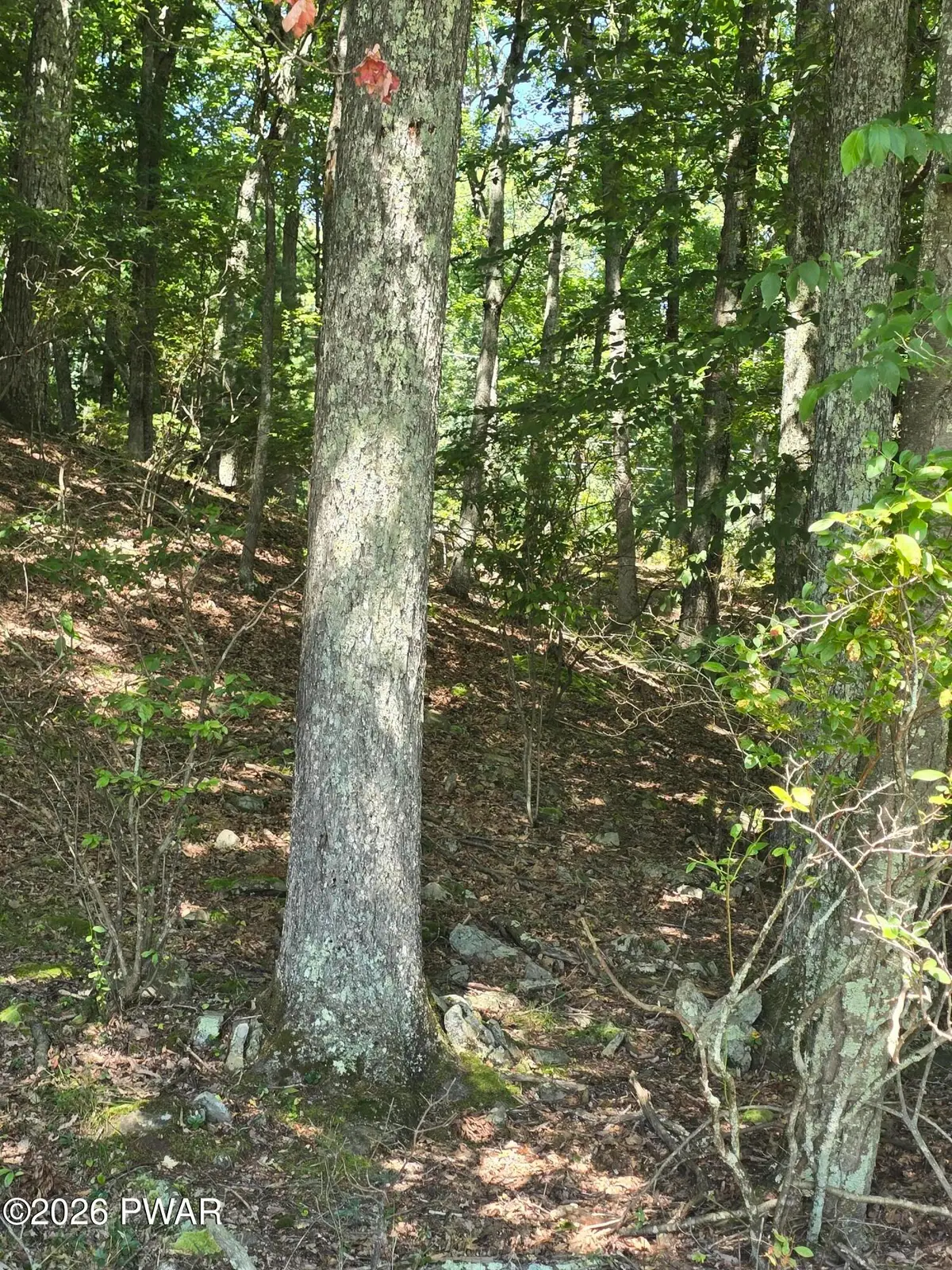 Lot 4 Renee Drive, Dingmans Ferry, PA 18328 - #1