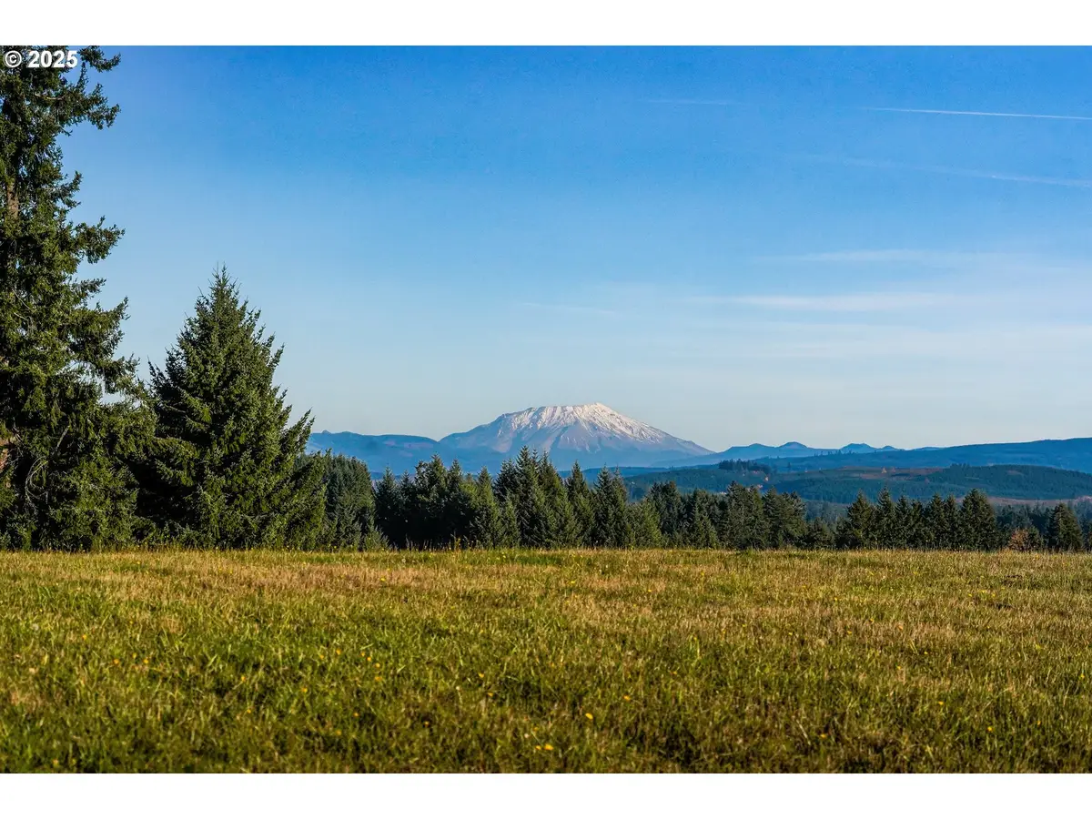 161 Cooper Hill Ct, Castle Rock, WA 98611 - Image #1