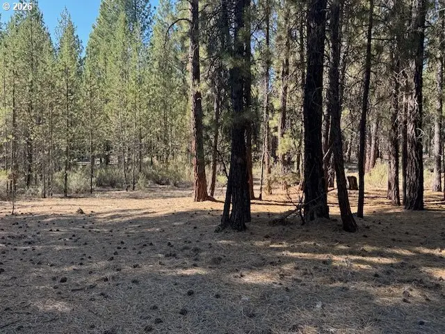 Green Forest Dr #Lot 3, Chiloquin, OR 97624 - #2
