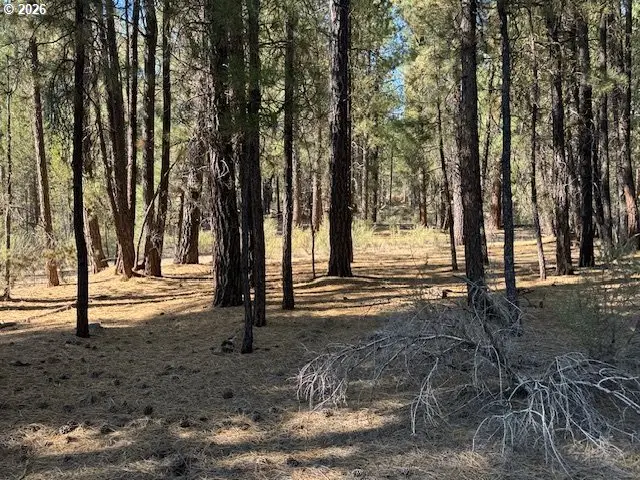Green Forest Dr #Lot 3, Chiloquin, OR 97624 - #3