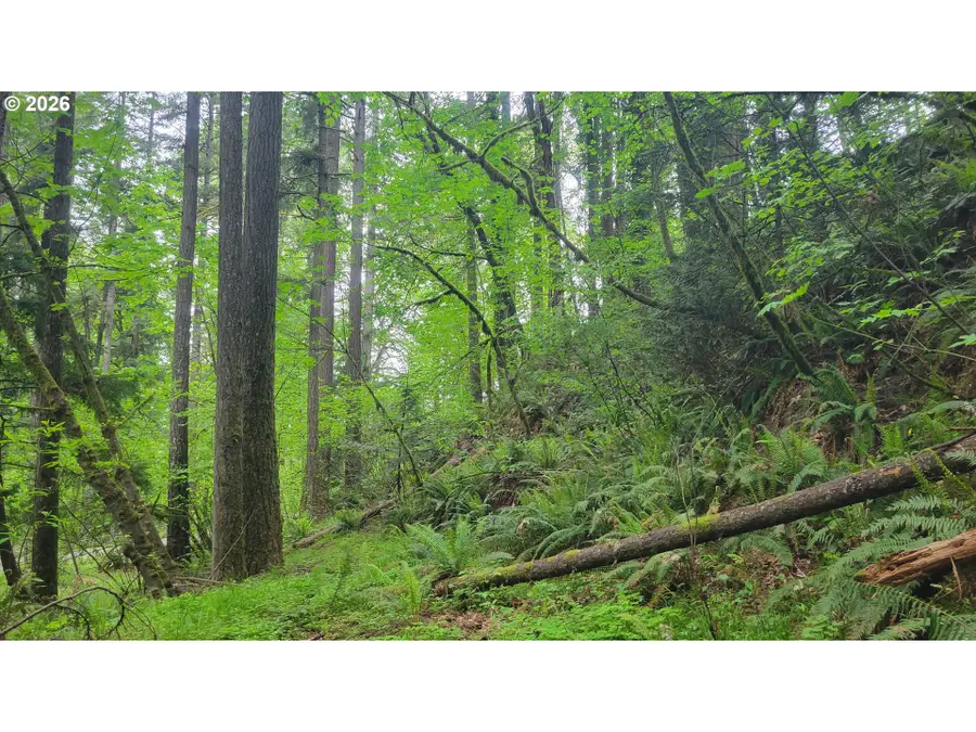 28616 SE Island Rd, Eagle Creek, OR 97022 - #2