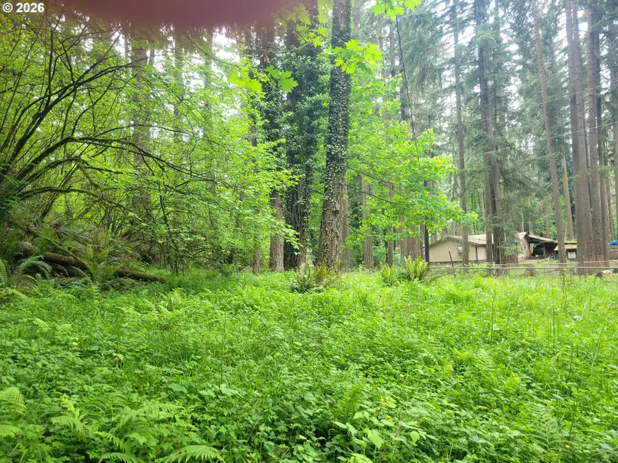 28616 SE Island Rd, Eagle Creek, OR 97022 - #3