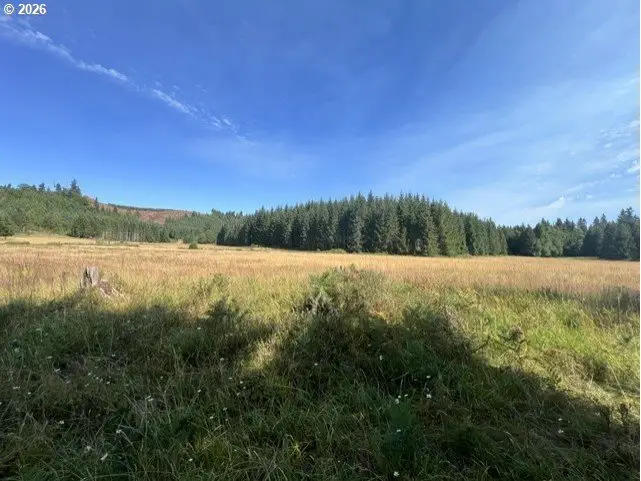 Timber Rd, Vernonia, OR 97064 - #1