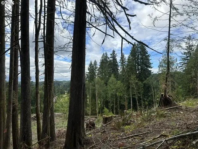 H St, Vernonia, OR 97064 - #1
