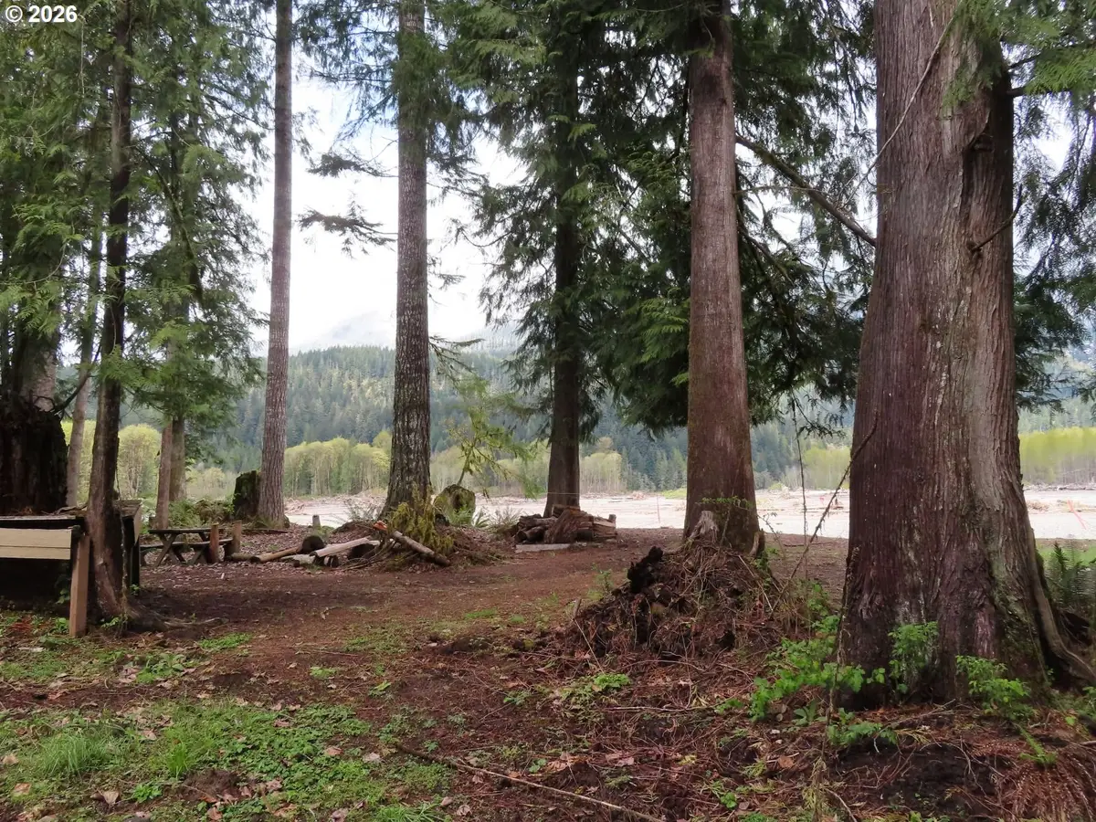 Cedar Grove Rd, Randle, WA 98377 - #1