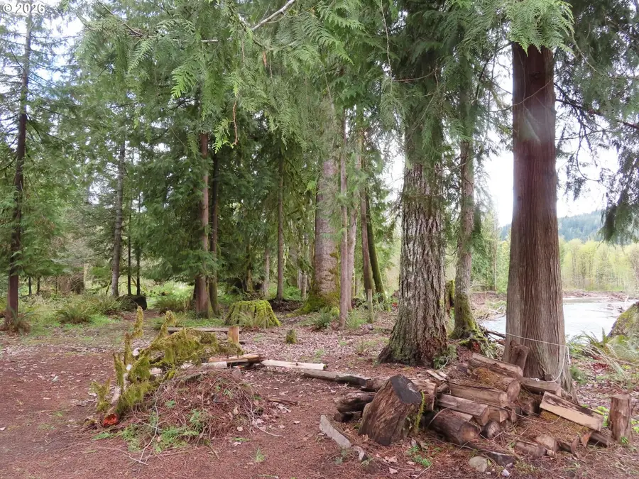 Cedar Grove Rd, Randle, WA 98377 - #3