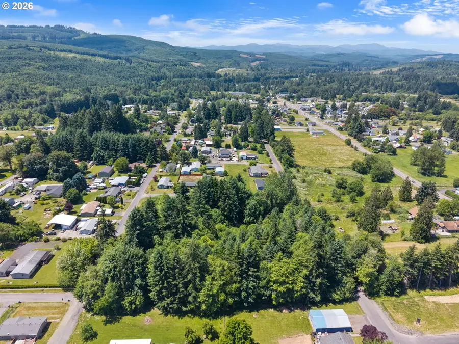 0 8th St, Vader, WA 98593 - #3