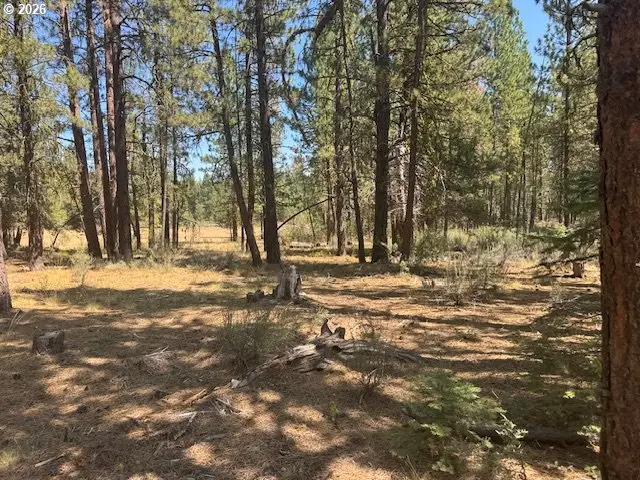 Whitetail Ln #Lot 3, Bonanza, OR 97623 - #3