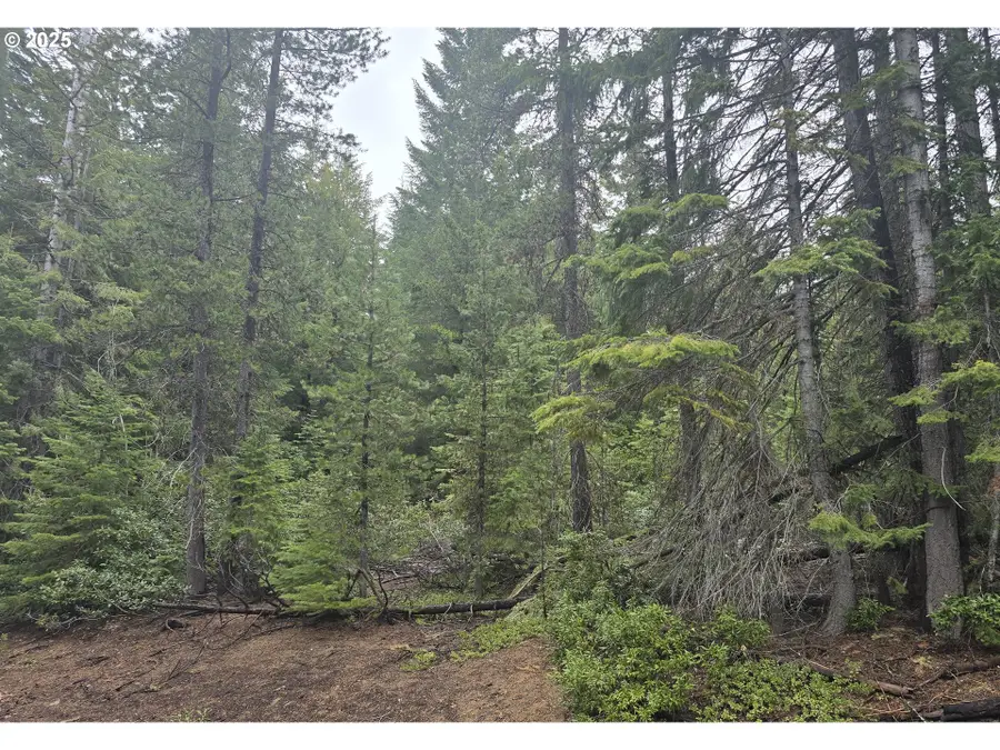 5 Royce Pine, Crescent Lake, OR 97733 - #3