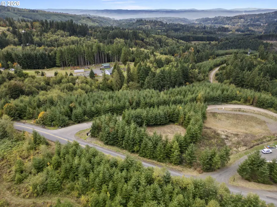 0 N Bootjack Ln, Kelso, WA 98626 - #2