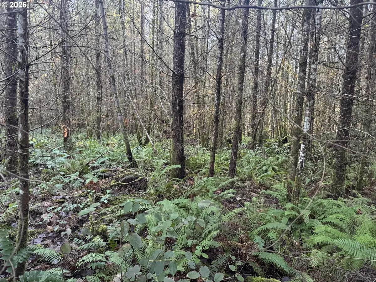 233 Shy Bear Rd, Toutle, WA 98649 - Image #1