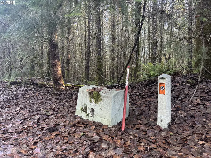 233 Shy Bear Rd, Toutle, WA 98649 - Image #2