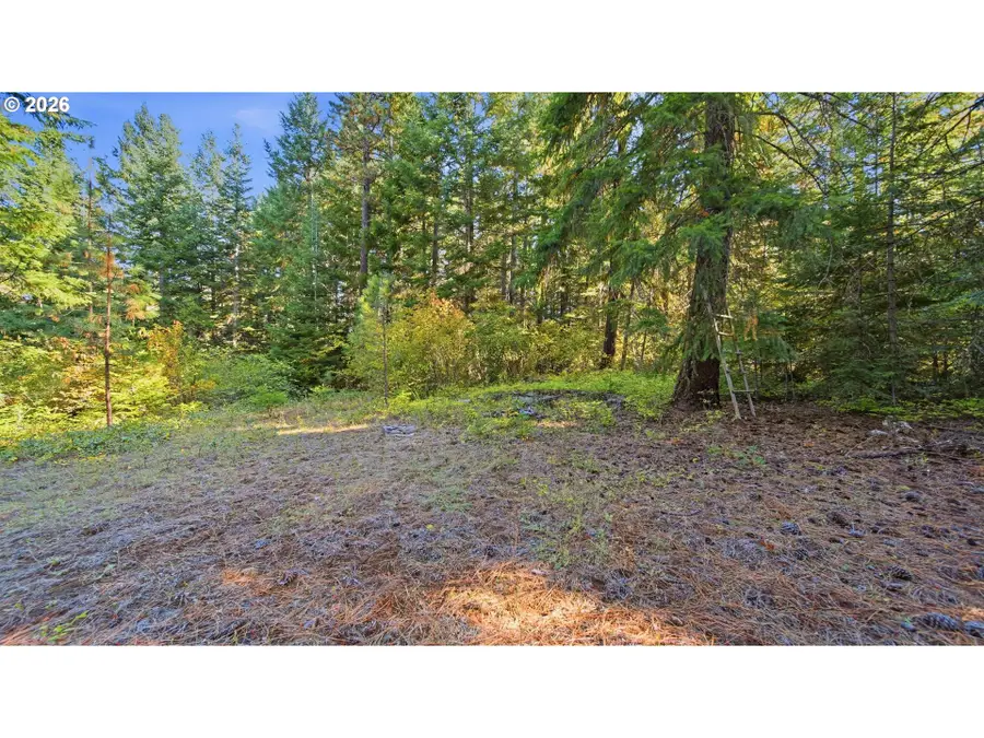 7 Mill Rd, Appleton, WA 98602 - #3