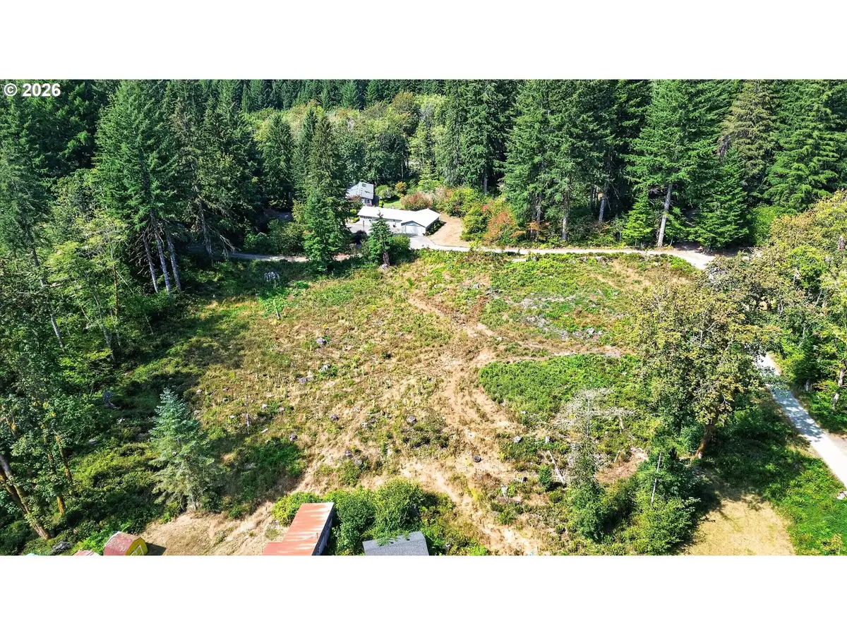 0 Dog Creek Rd, Cougar, WA 98616 - #1