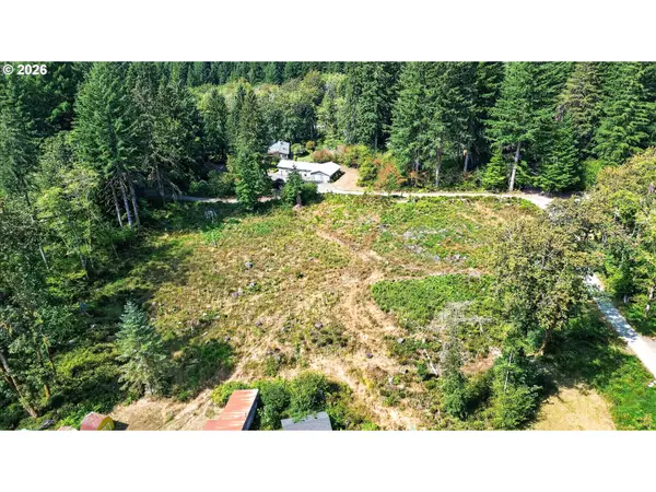 0 Dog Creek Rd, Cougar, WA 98616