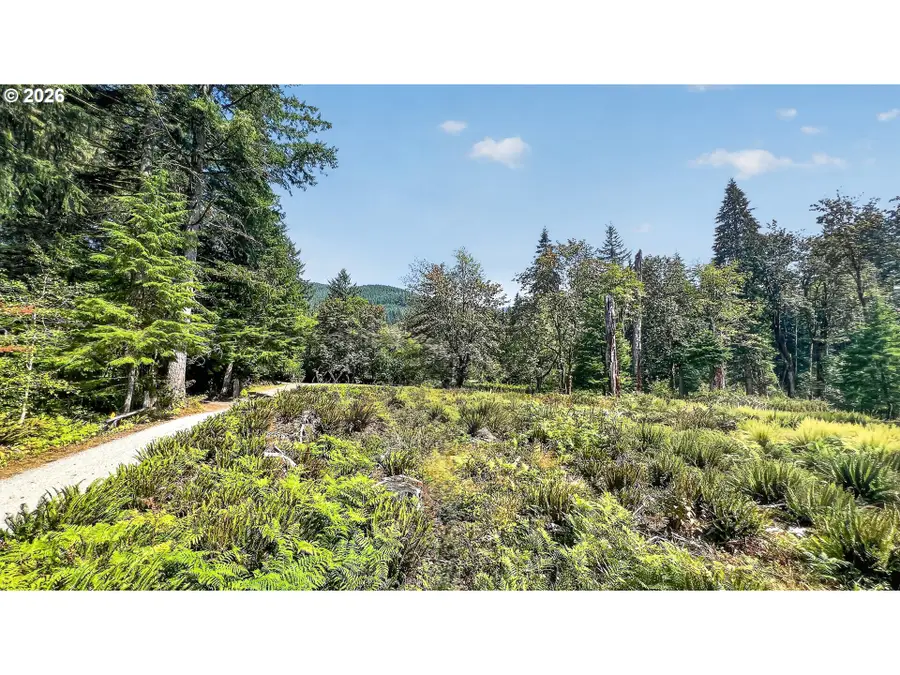 0 Dog Creek Rd, Cougar, WA 98616 - #3
