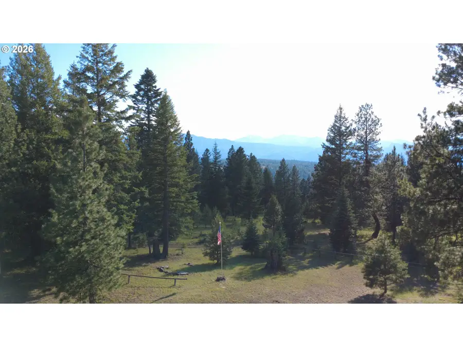 Divide Camp Rd, Joseph, OR 97846 - #3