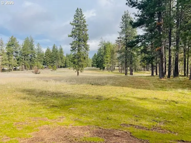 Orchard Heights Rd #Lot 1, Goldendale, WA 98620 - #2