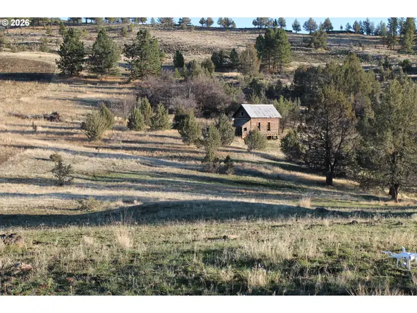 Ritter Road, Ritter, OR 97856