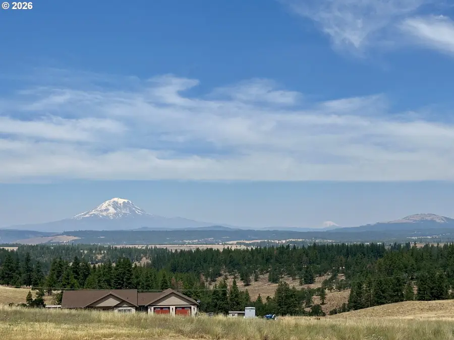 46 Palomino Dr, Centerville, WA 98613 - #3