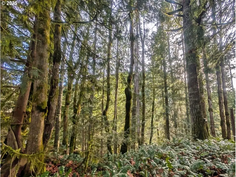 00971354 E Rolling Green Ct, Welches, OR 97067 - Image #1